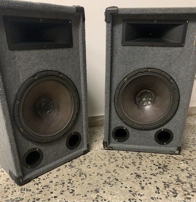 Woofer Ciare 300 Watt Potenti diffusori autocostruiti 