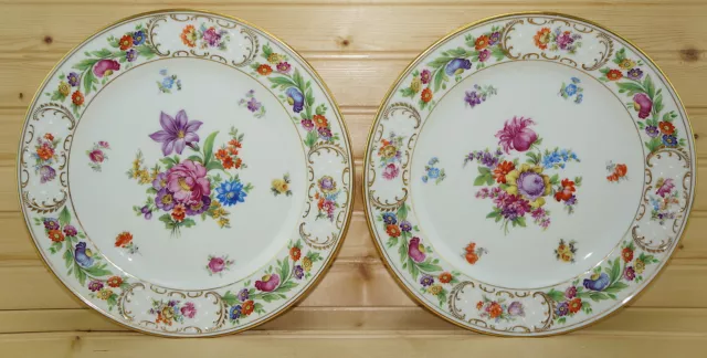 Schumann Old Dresden Flowers (2) Dinner Plates, 10 1/8"