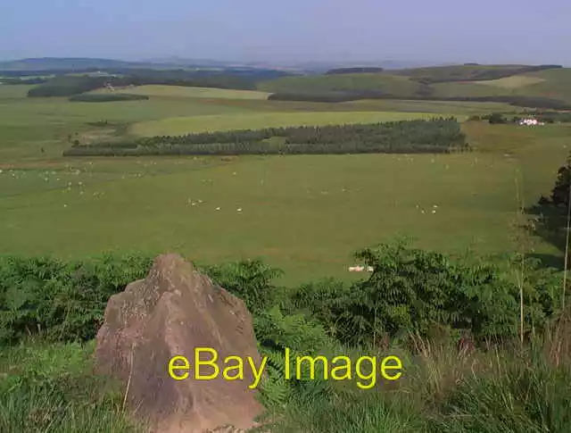 Photo 6x4 Open grazing land south of Shielknowes Edgerston  c2008