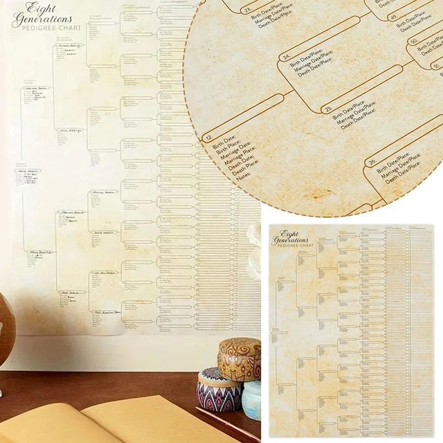 FAMILY RELATIONSHIP CHART Family Tree Poster B0B0 EUR 10,40 - PicClick DE