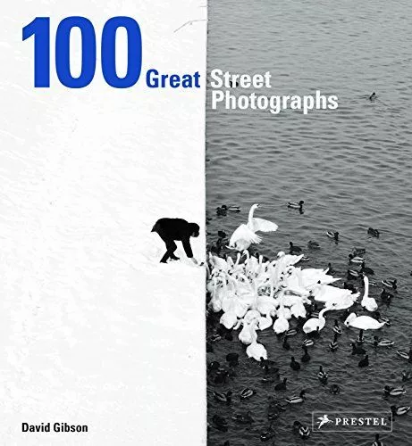 100 Great Street Photographs Gibson, David:
