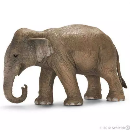 Schleich Wild Life Elephant -Asian Female 14753 -Retired