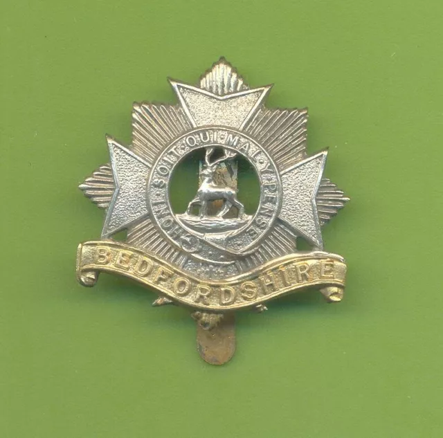 Bedfordshire Regiment.bi-Metal Army Cap Badge