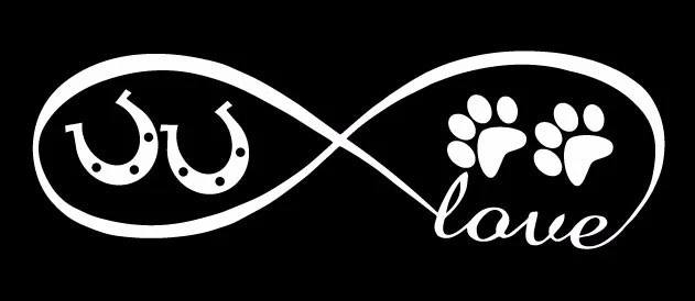Infinity love paws horseshoe lucky sticker vinyl decal car window, bumper laptop