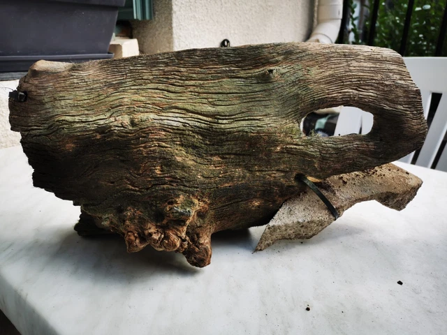 Av Demie souche en bois flotté pour aquarium