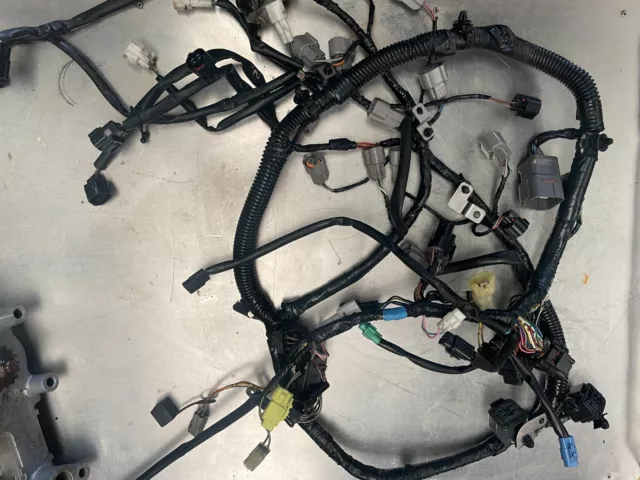 faisceau complet pour suzuki df 250 cv