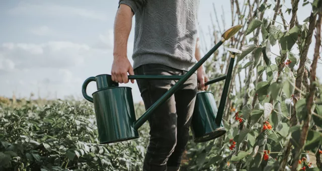 HAWS 'The Warley Fall Green' Metal Original Long Reach Watering Can - Two Gallon 2