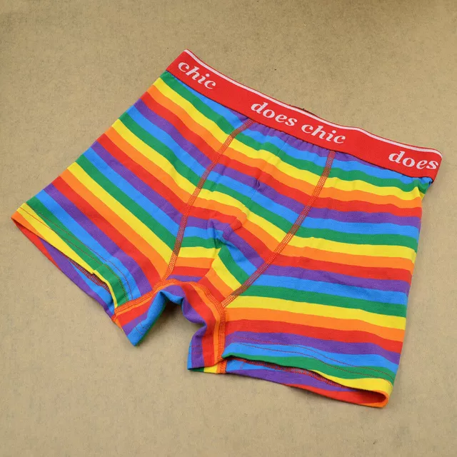 1 Men's Underwear Rainbow Striped Pride Gay LGBT Boxer Shorts Briefs M-XXXL Cool