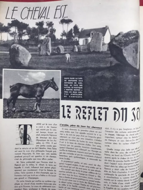 Collaboration 1942 Saumur Équitation Carnac Pompadour Corrèze La Courtine Auriac 3