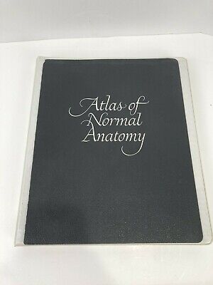 1956 Lederle Laboratories American Cyanamid Co. Atlas of Normal Anatomy Binder