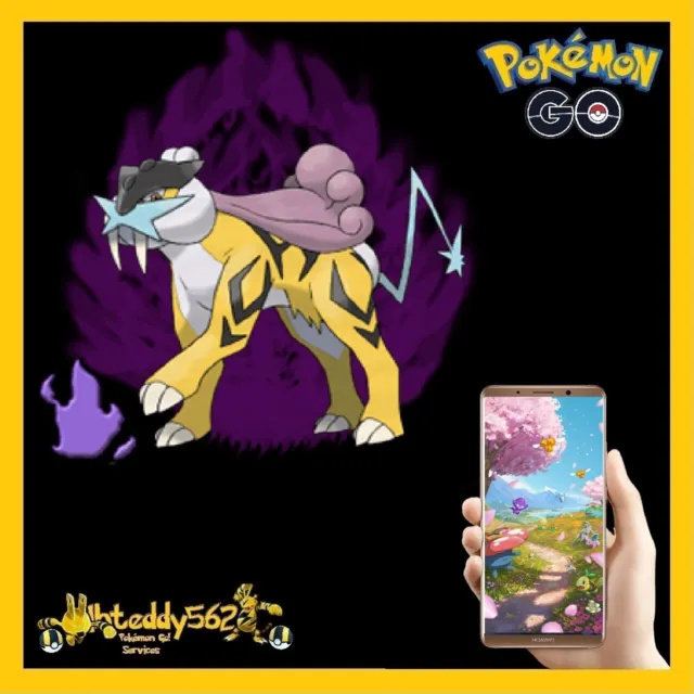 Pokémon GO - Shadow Raikou Raid (Non-Remote, IN PERSON ONLY) *Shiny Chance!