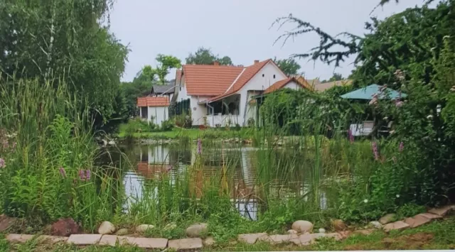 Interessantes Haus, Landhaus mit Schwimmteich südlich des Balatons (ca. 20 km)
