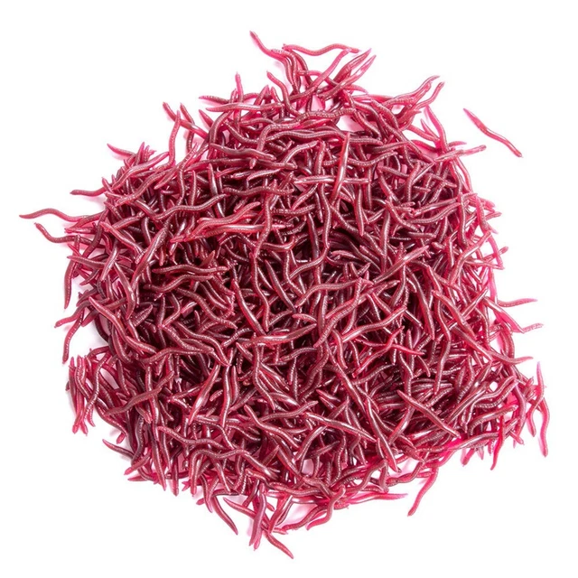 Bouillettes pêche Poivre Poids / Diamètre 3 Kg / 16 mm