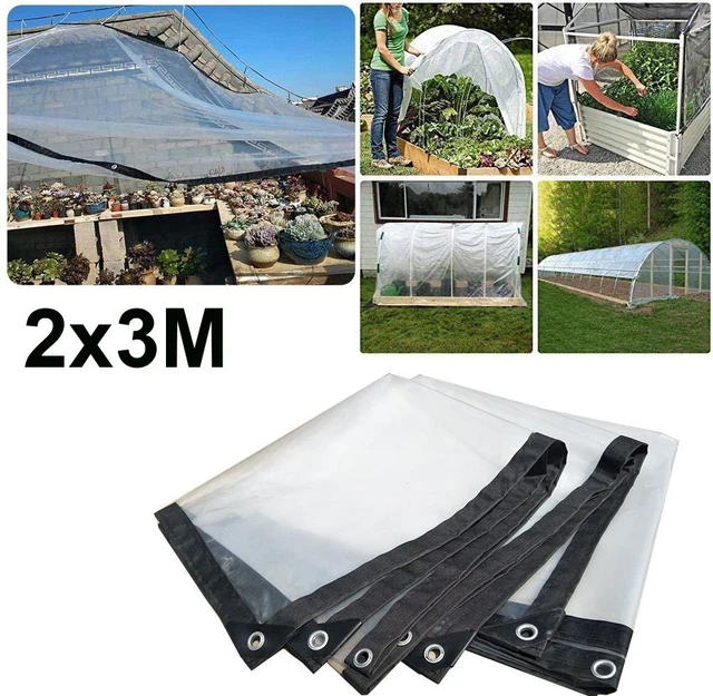 TRANSPARENTE PLANE MIT Ösen 2M*3M Gewächshaus Folie Gartenplane