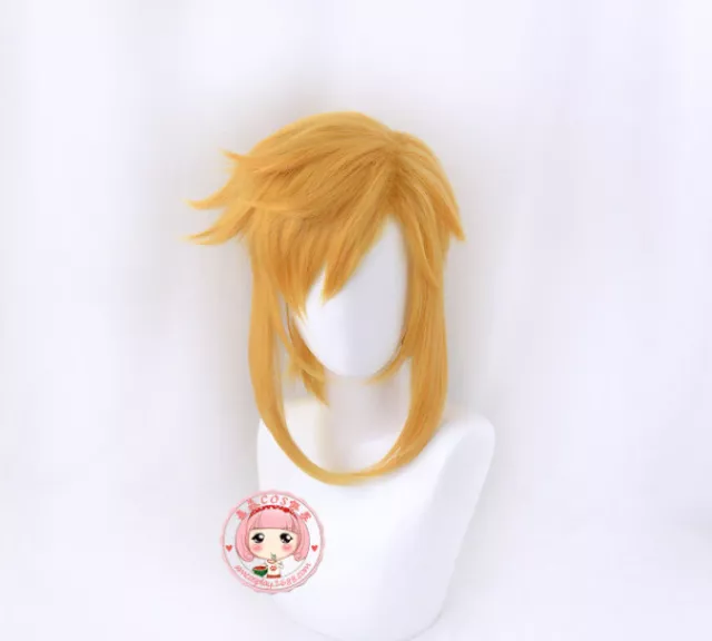 Anime The Legend of Zelda: Breath of the Wild Cosplay Wig Link Perücke Prop