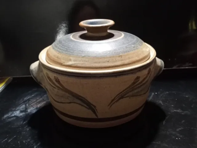 https://www.picclickimg.com/UNsAAOSwW6pll5RD/Vintage-Pitts-Pottery-2-Quart-Pot-With-Lid.webp