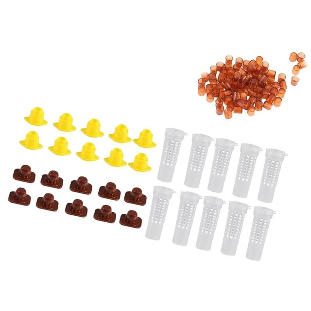 Kit Élevage Reines Apiculture Perfk | 100 Cellules + 10 Porte-Barres + 10 Cages | Pour Ruche Et Greffe Larves