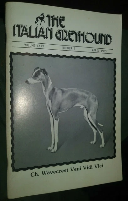 The Italian Greyhound Illustrated Magazine Champion Photos & Articles Apr. 1983