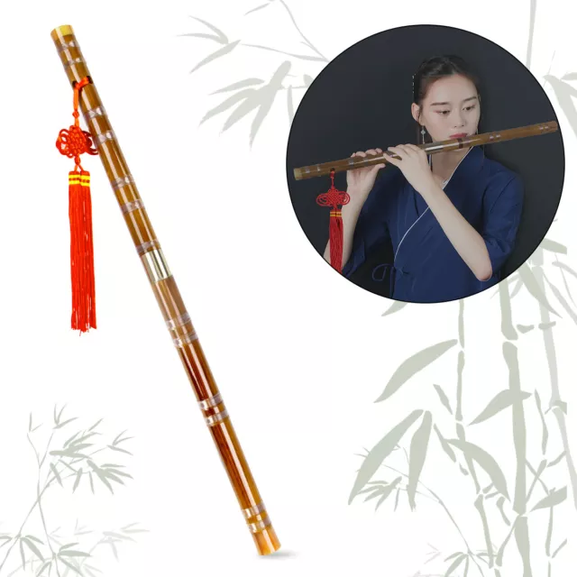 Horse Traditional Bamboo Flute F Key 10 Hole Dizi For Beginner To Professional