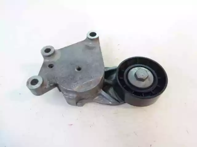 galet tendeur pour CITROEN C3 PICASSO 1.6 HDI 90 2010 2009 118174