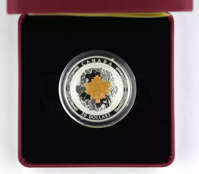 20 Dollar Kanada 2016 Silber PP -  Majestic Maple Leaf  with drusty stones proof