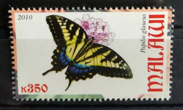 126.MALAWI 2010 (K350) Briefmarke Schmetterling (Papilio Glaucus) . MNH