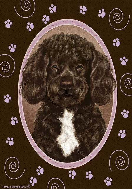 Paws Garden Flag - Bearded Brown and White Portuguese Water Dog 179131