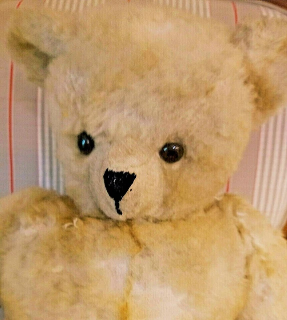 Vieux Ours En Peluche Français - Vintage Teddy Bear - Occasion