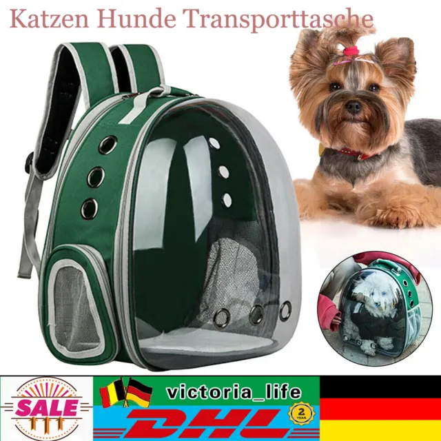 Borsa da trasporto per gatti portatile cani zaino trasporto viaggio zaino lino