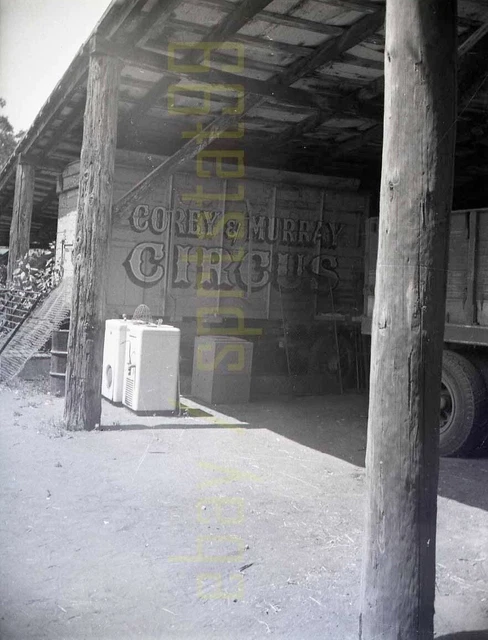 1956 Corey & Murray Circus - Old Wagon - Vintage Negative