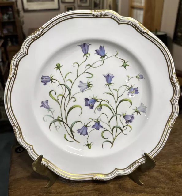 Spode Fine Bone China Campanula 11" Dinner Plate Excellent  Y8283-G England