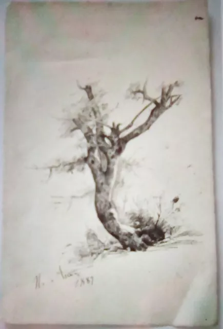 Nicola Ascione - disegno a china su cartoncino - Misure cm.18x28. Anno 1889.