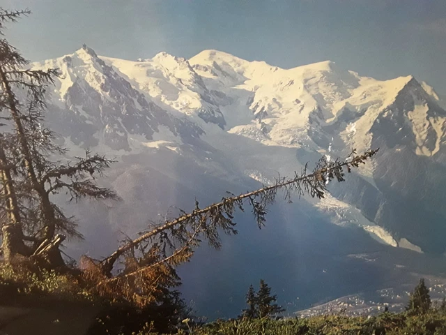 Tirage Vintage Chamonix 1885 - Vue Générale, Albumine, 8,5x17 Cm - Original