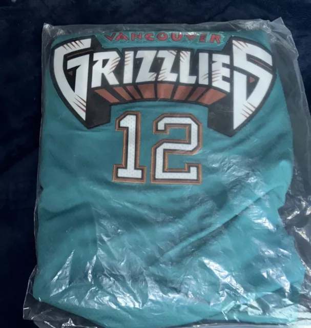 Youth Memphis Grizzlies Ja Morant Nike Teal Hardwood Classics Swingman  Jersey