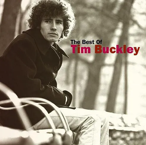 Tim Buckley - The Best Of Tim Buckley (CD, Comp)