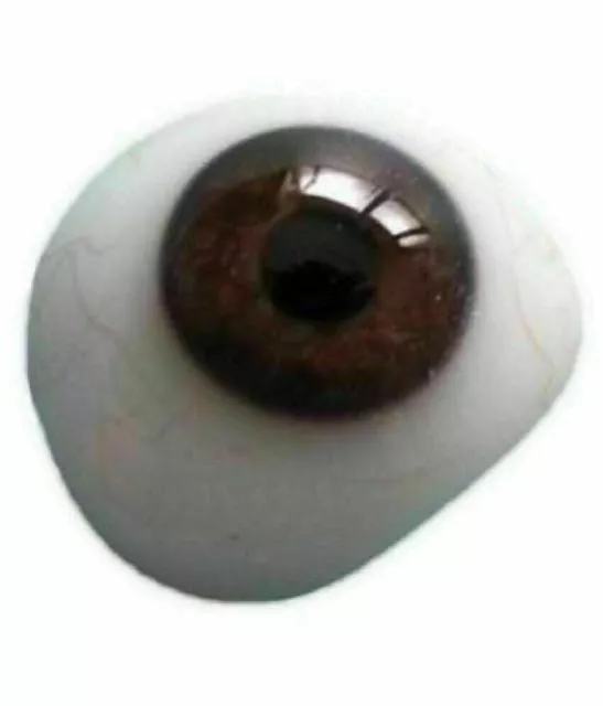 Ocular Prosthesis Dark Brown Artificial Eye Prosthetic Ocular 2 pc