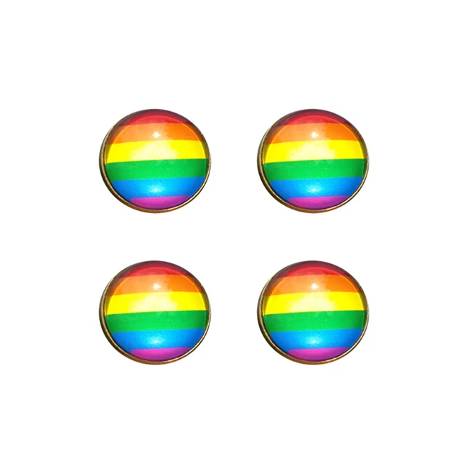 4 Pcs Crystal Brooch Lesbian Party Supplies Pride Favors Man