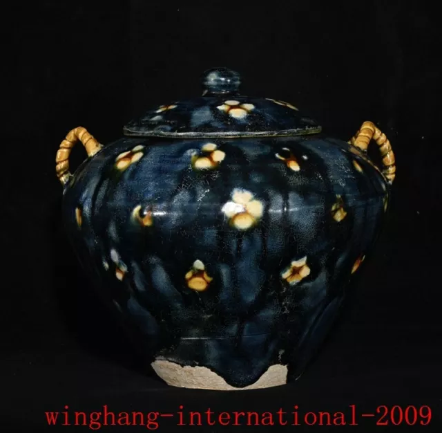 China Tang Dynasty tangsancai Pottery porcelain premium flowers grain tank pot