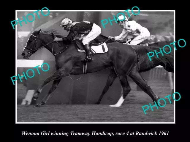 OLD 8x6 HISTORIC HORSE RACING PHOTO WENONA GIRL WINNING AT RANDWICK 1961