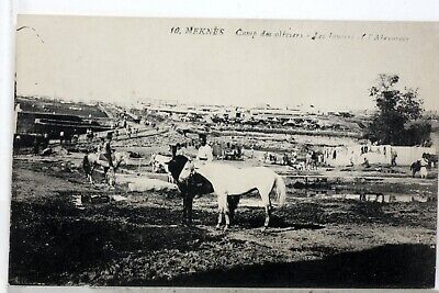 Camp Of Olive Trees Meknes Morocco CPA Postcard 7815