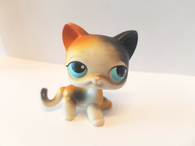 Figurine Petshop Original Chat Cat Europeen Short Hair 05 Pet Shop Lps Eur 4 65 Picclick Fr