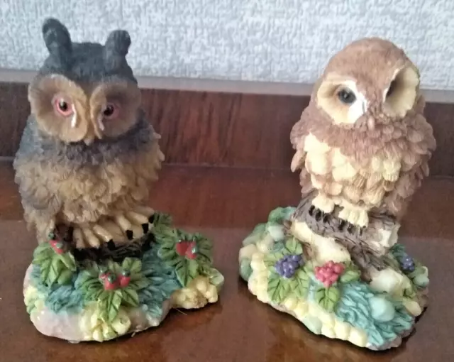 Long Eared Owl + Tawny Owl by Regency Fine Arts the Barn Owl collection