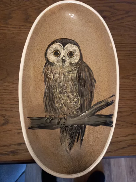 Stuart Bass Exmoor Studio Art Pottery Dish Bowl Plaque Hand Painted Owl 12.3/4.