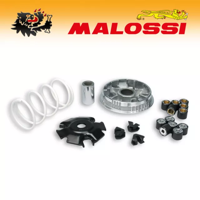 5111397 [MALOSSI] Variator Multivar 2000 - Piaggio Liberty 125/150/beverly