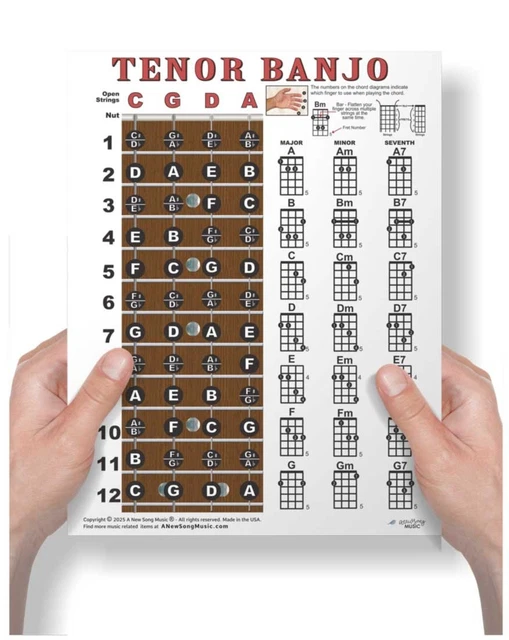 LAMINATED TENOR BANJO Chord Chart Poster Easy Chords Beginner 8.5x11 ...