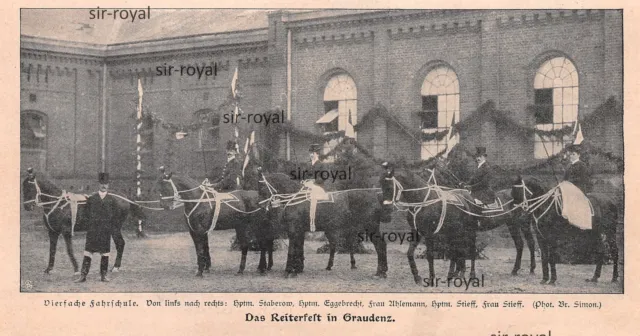 Reiterfest Graudenz - Vierfache Fahrschule - 1906 - Histor. Aufnahme ~18x9cm