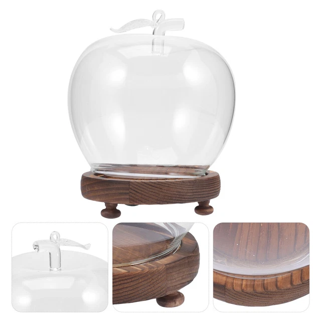PATIKIL Cúpula De Cristal Transparente Cloche De 4.7 X 3.1 Pulgadas, Vitrina De Cristal Con Base De Madera Para Plantas De Luz Led Decoracion Del