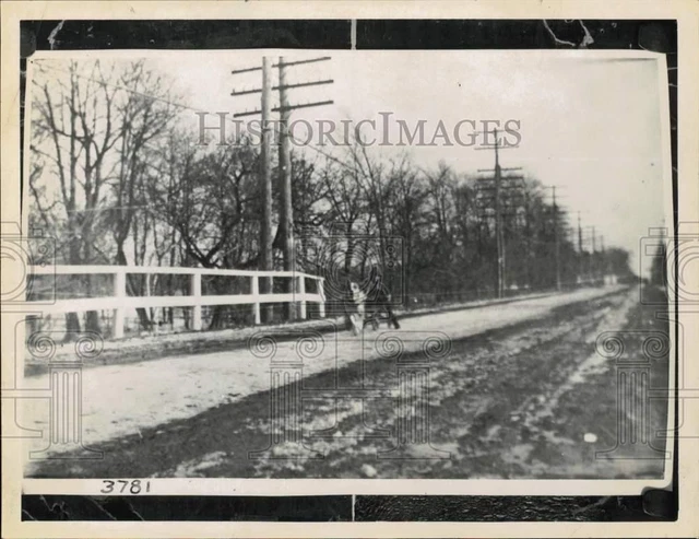 1961 Press Photo 1880s Picture of Dog Pulling Boy in Cart on Albany Turnpike