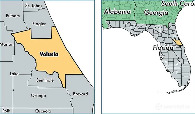 Foreclosure Ready Fl Tax Lien Cert For Land 1.25 Ac Deleon Springs, Fl Volusia
