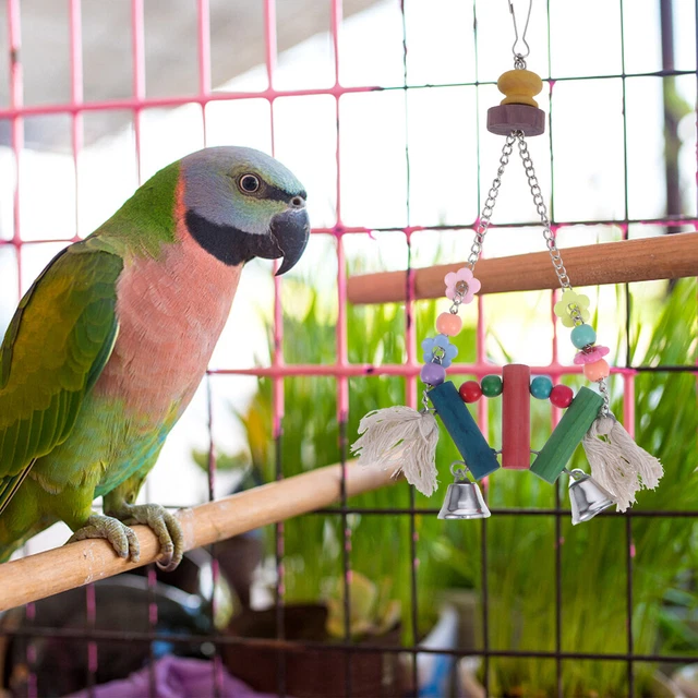 2x Papagei Pädagogisches Spielzeug Vogel Biss Spielzeug 5